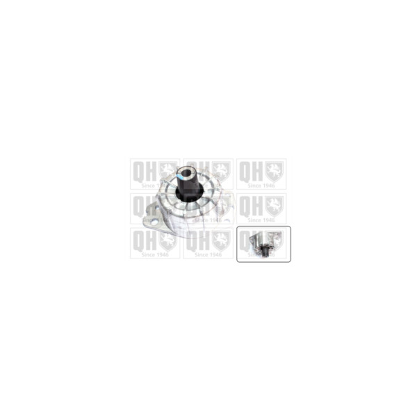 Engine/Transmission Bush/Mount image