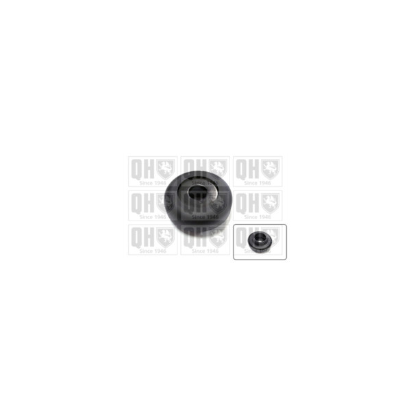 Strut Mount Bearing image