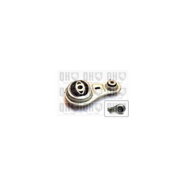 Engine/Transmission Bush/Mount image