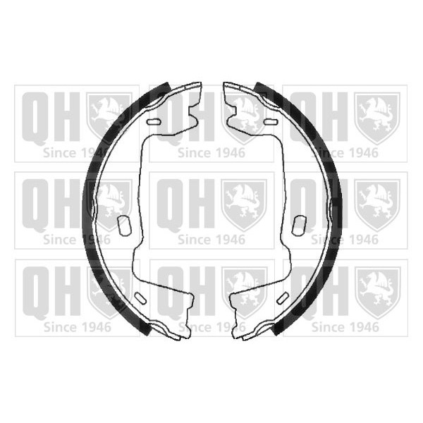 Brake Shoe Set image