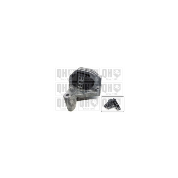 Engine/Transmission Bush/Mount image