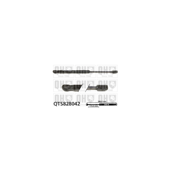 Gas Spring image