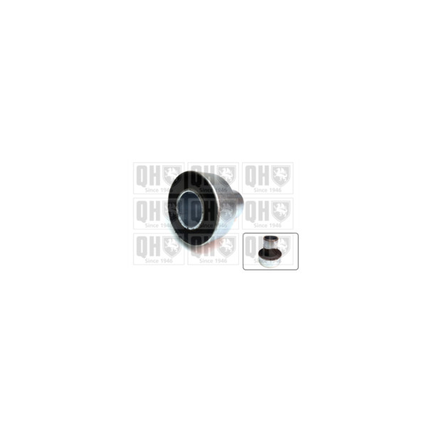 Engine/Transmission Bush/Mount image