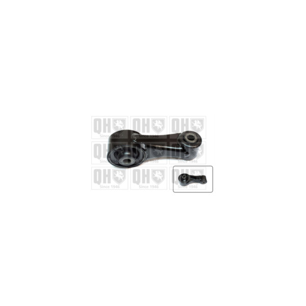 Engine/Transmission Bush/Mount image