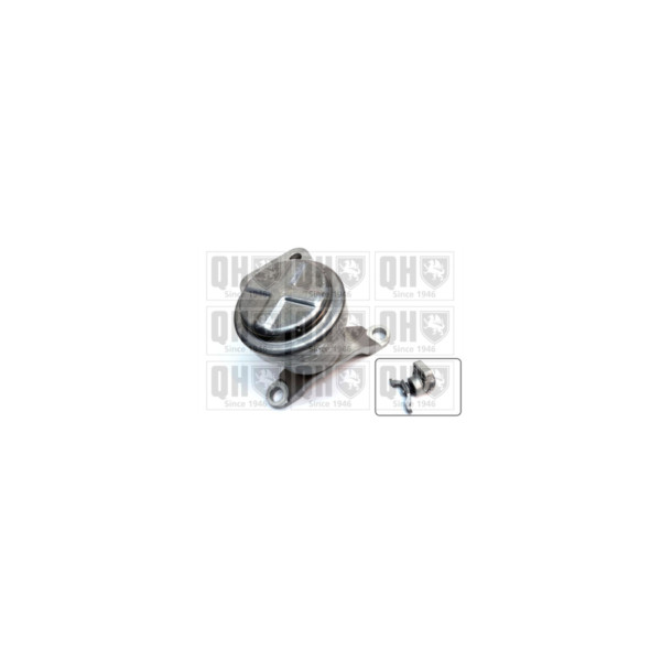 Engine/Transmission Bush/Mount image