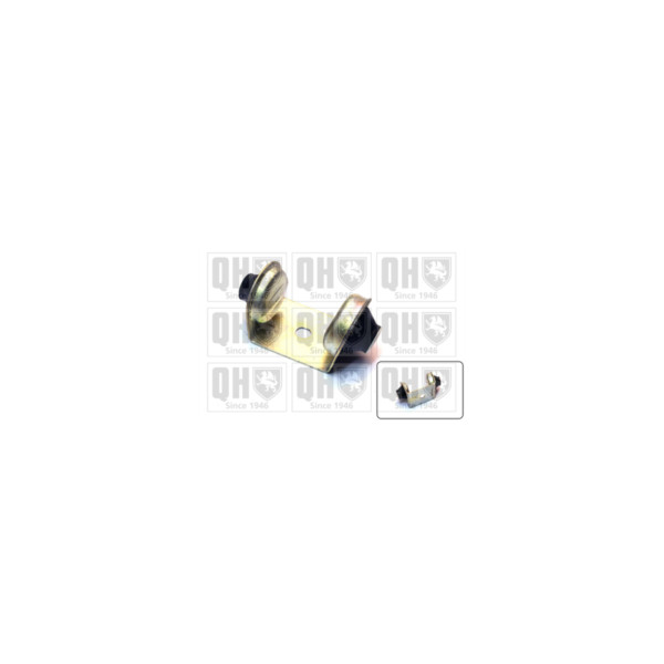 Engine/Transmission Bush/Mount image