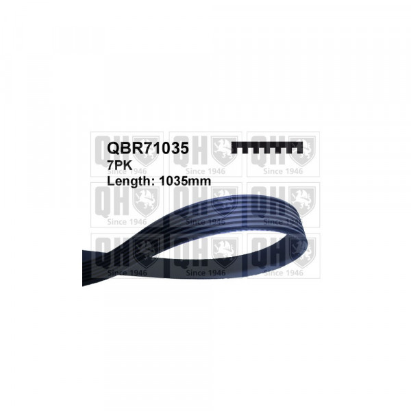 Drive Belt image