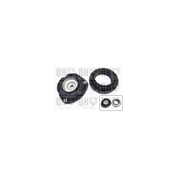 Suspension Strut Repair Kit image
