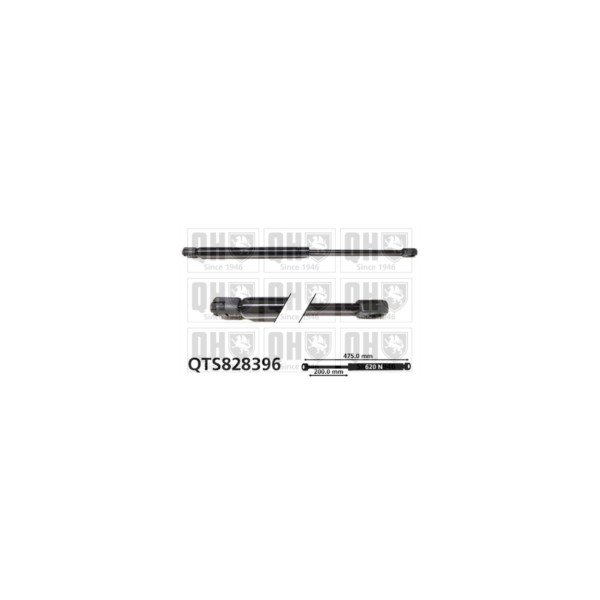 Gas Spring image