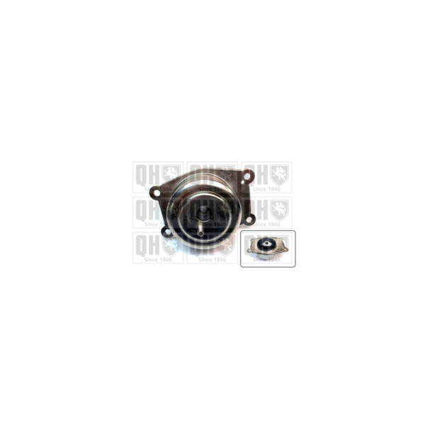 Engine/Transmission Bush/Mount image