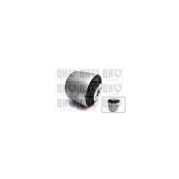 Engine/Transmission Bush/Mount image