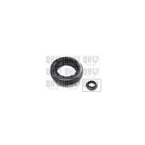 Strut Mount Bearing image