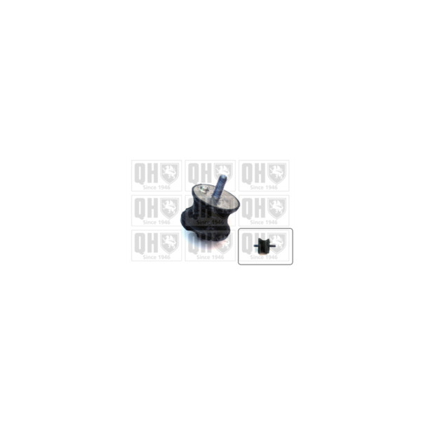 Engine/Transmission Bush/Mount image