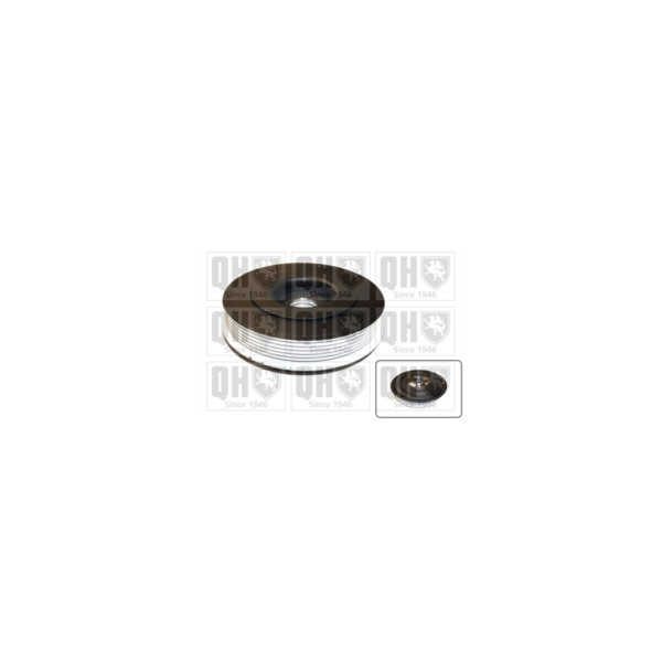 Torsion Vibration Damper image