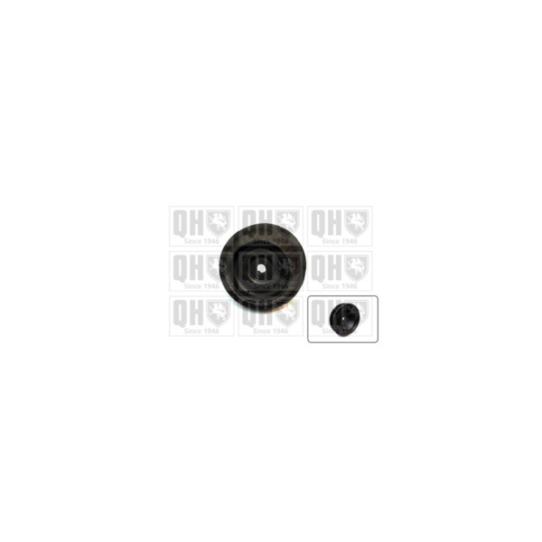 Strut Mount image