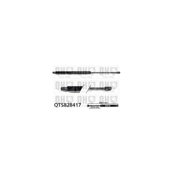 Gas Spring image