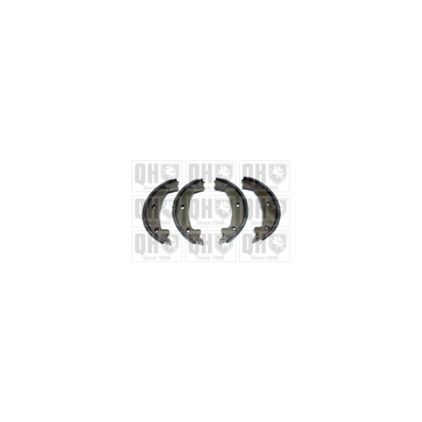 Brake Shoe Set image