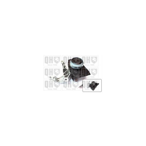 Engine/Transmission Bush/Mount image