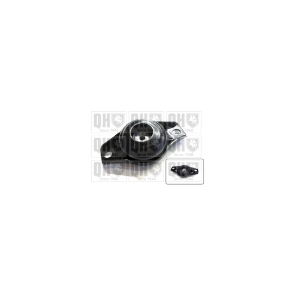 Strut Mount image