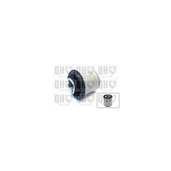 Engine/Transmission Bush/Mount image