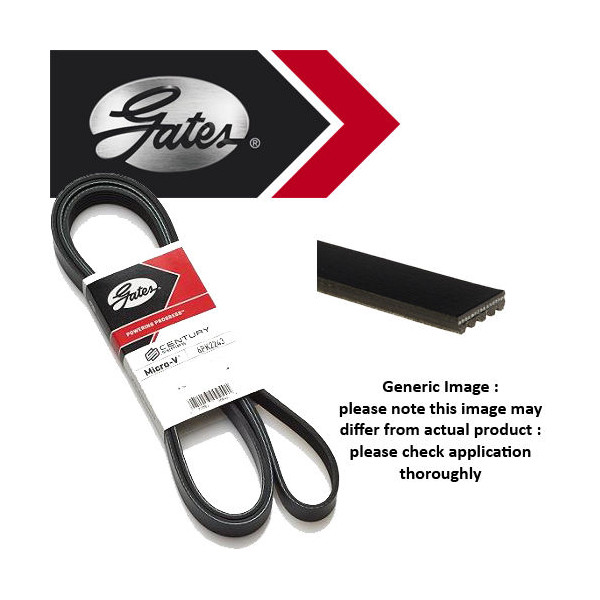 MICRO-V MULTI-RIBBED BELT image