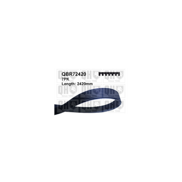 Drive Belt image