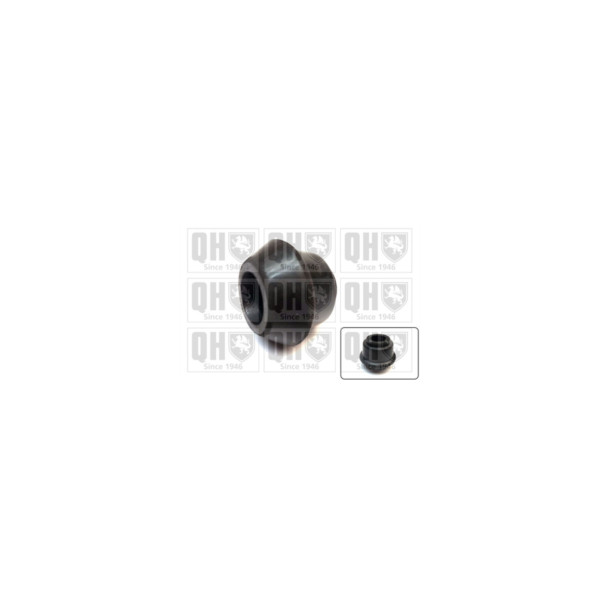Susp/Control/Wishbone/Arm Bush/Mount image