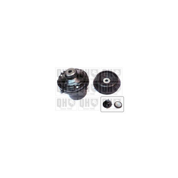 Suspension Strut Repair Kit image