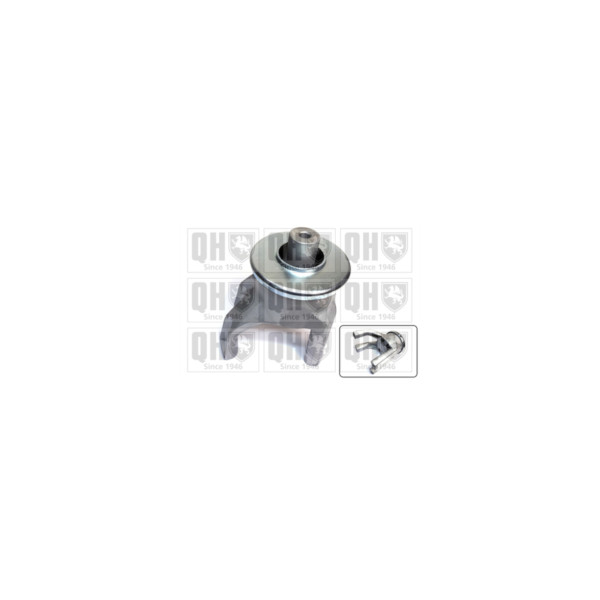 Engine/Transmission Bush/Mount image