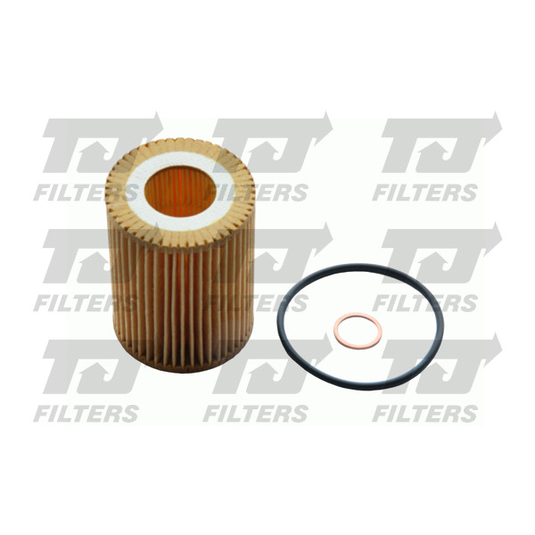 TJ QFL0308 Oil Filter image
