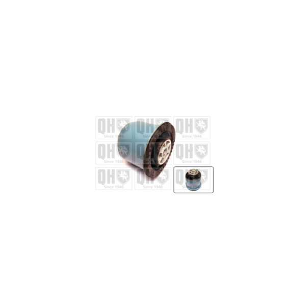 Engine/Transmission Bush/Mount image