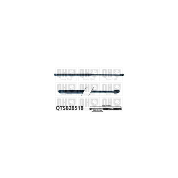 Gas Spring image
