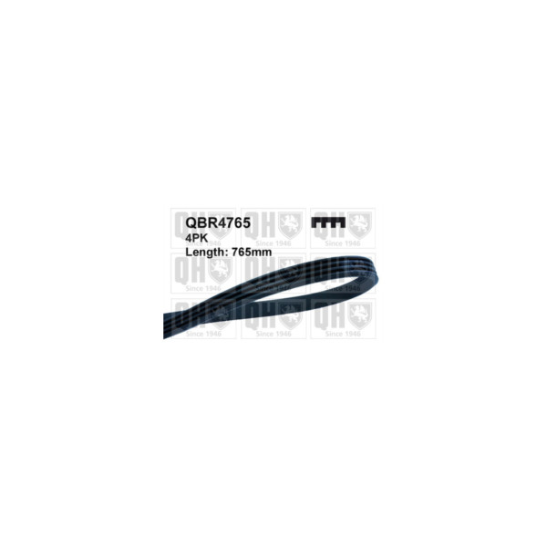 Drive Belt image