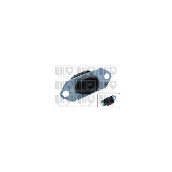 Engine/Transmission Bush/Mount image