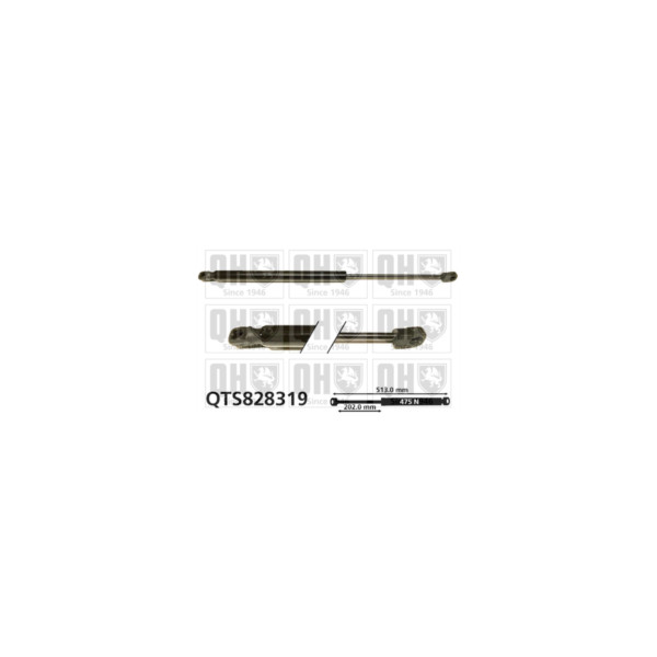Gas Spring image