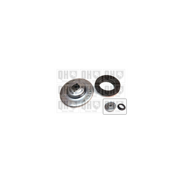 Suspension Strut Repair Kit image