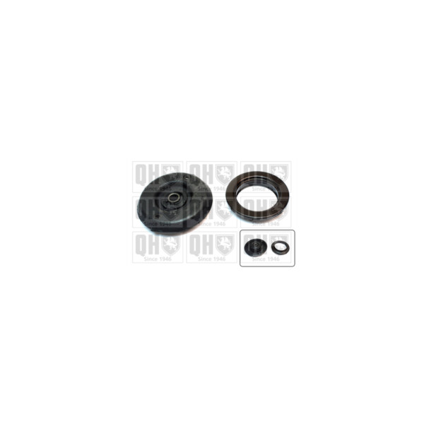 Suspension Strut Repair Kit image