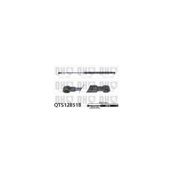 Gas Spring image