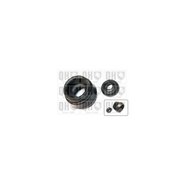 Suspension Strut Repair Kit image