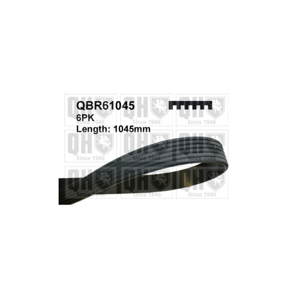 QH QBR61045 Drive Belt image