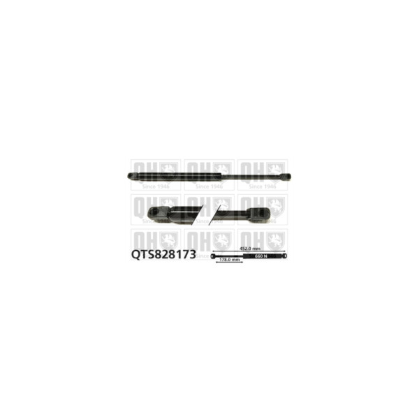 Gas Spring image