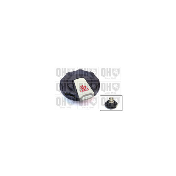 Radiator Cap image