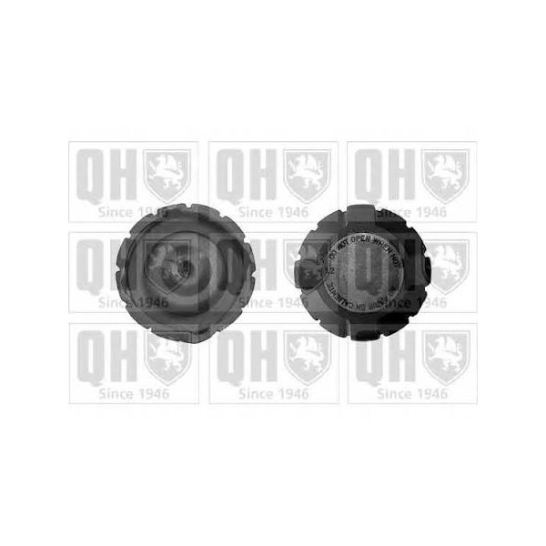 Radiator Cap image