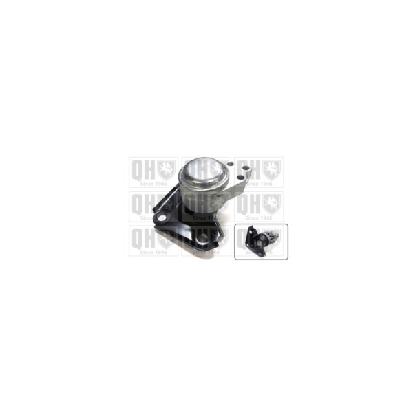 Engine/Transmission Bush/Mount image