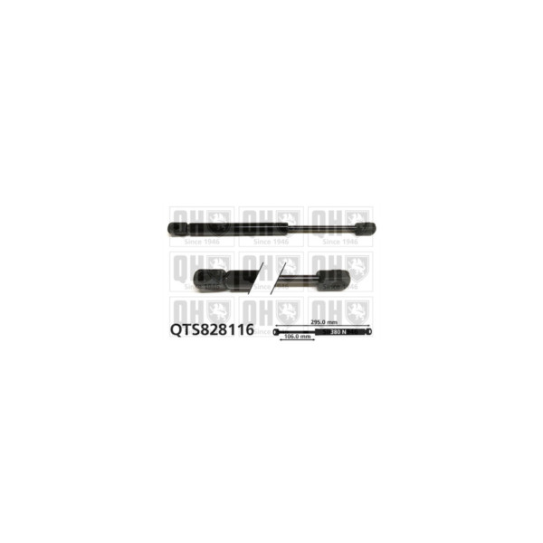 Gas Spring image