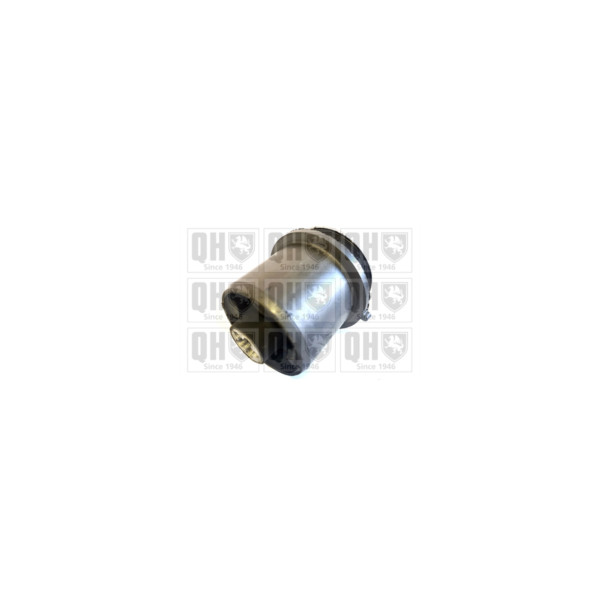 Engine/Transmission Bush/Mount image