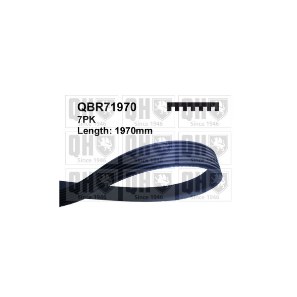 QH QBR71970 Drive Belt image