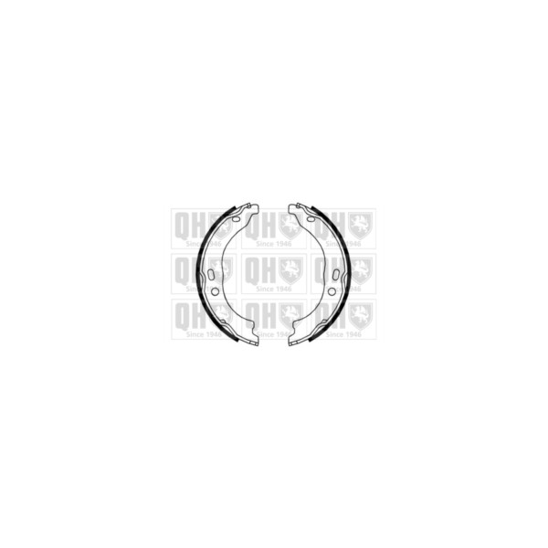 Brake Shoe Set image
