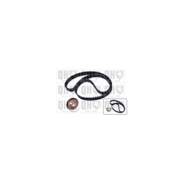 Timing Belt Kit image