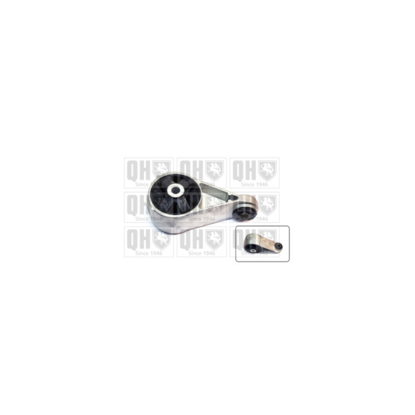 Engine/Transmission Bush/Mount image